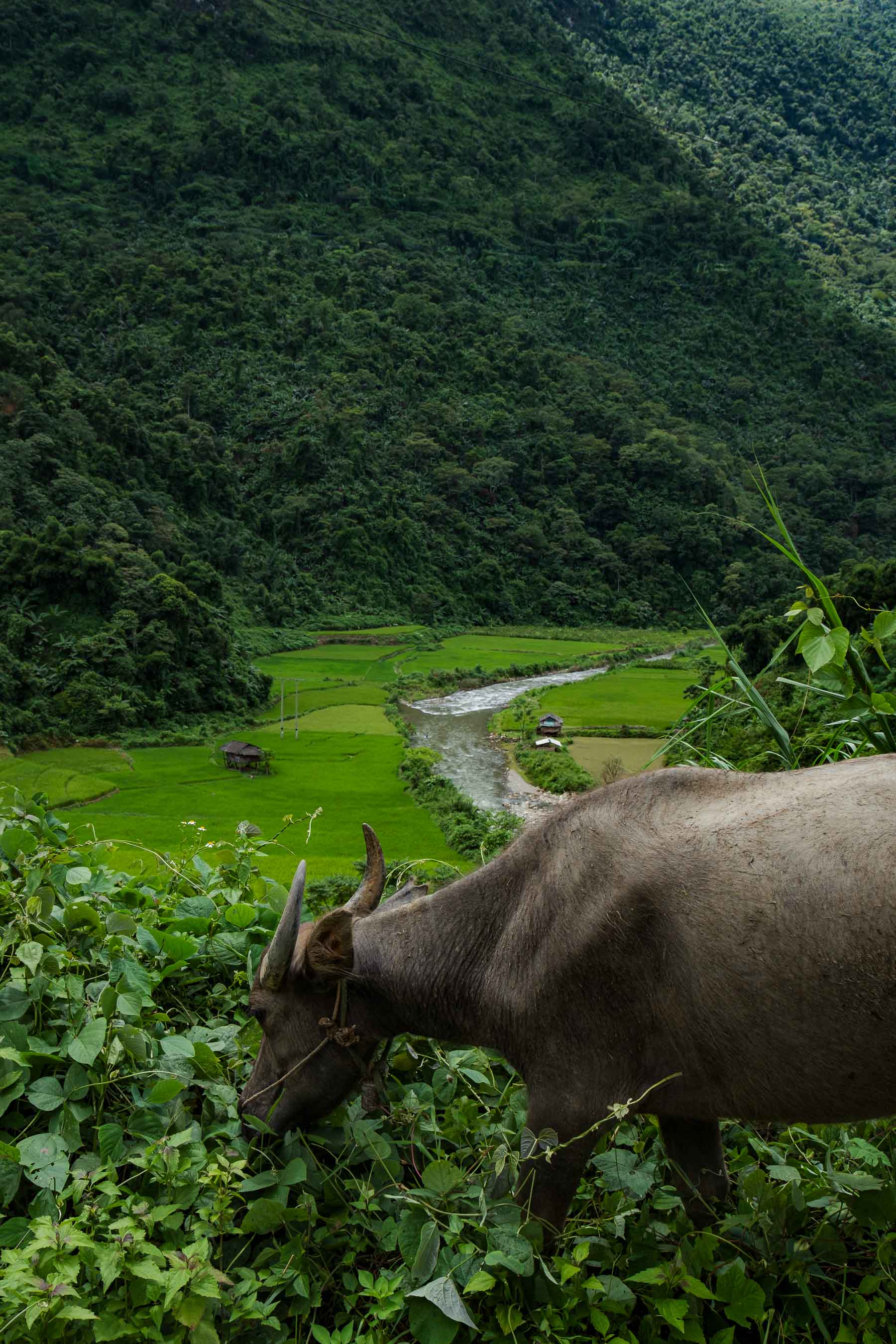 Sin Suoi Ho village