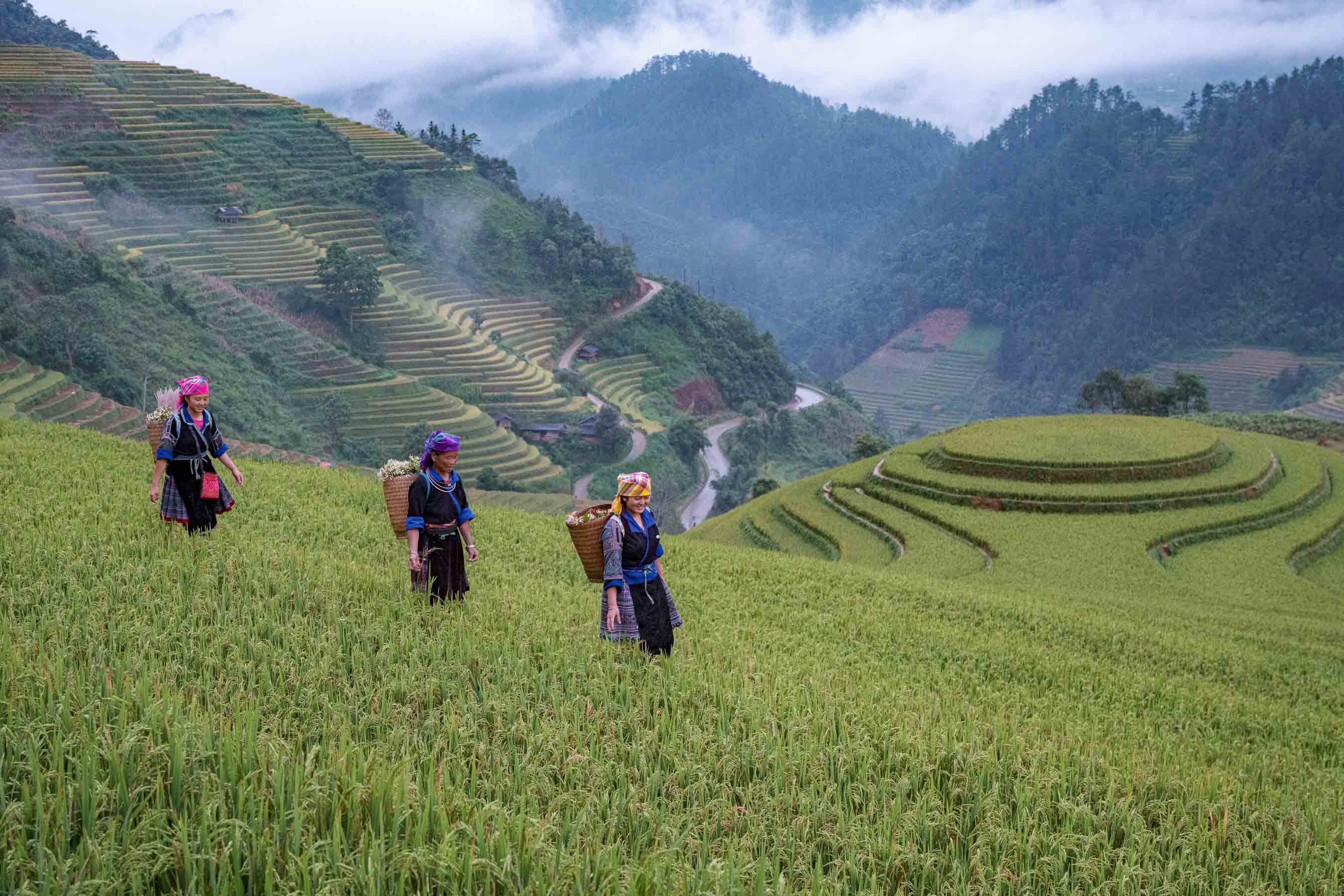 Local village life